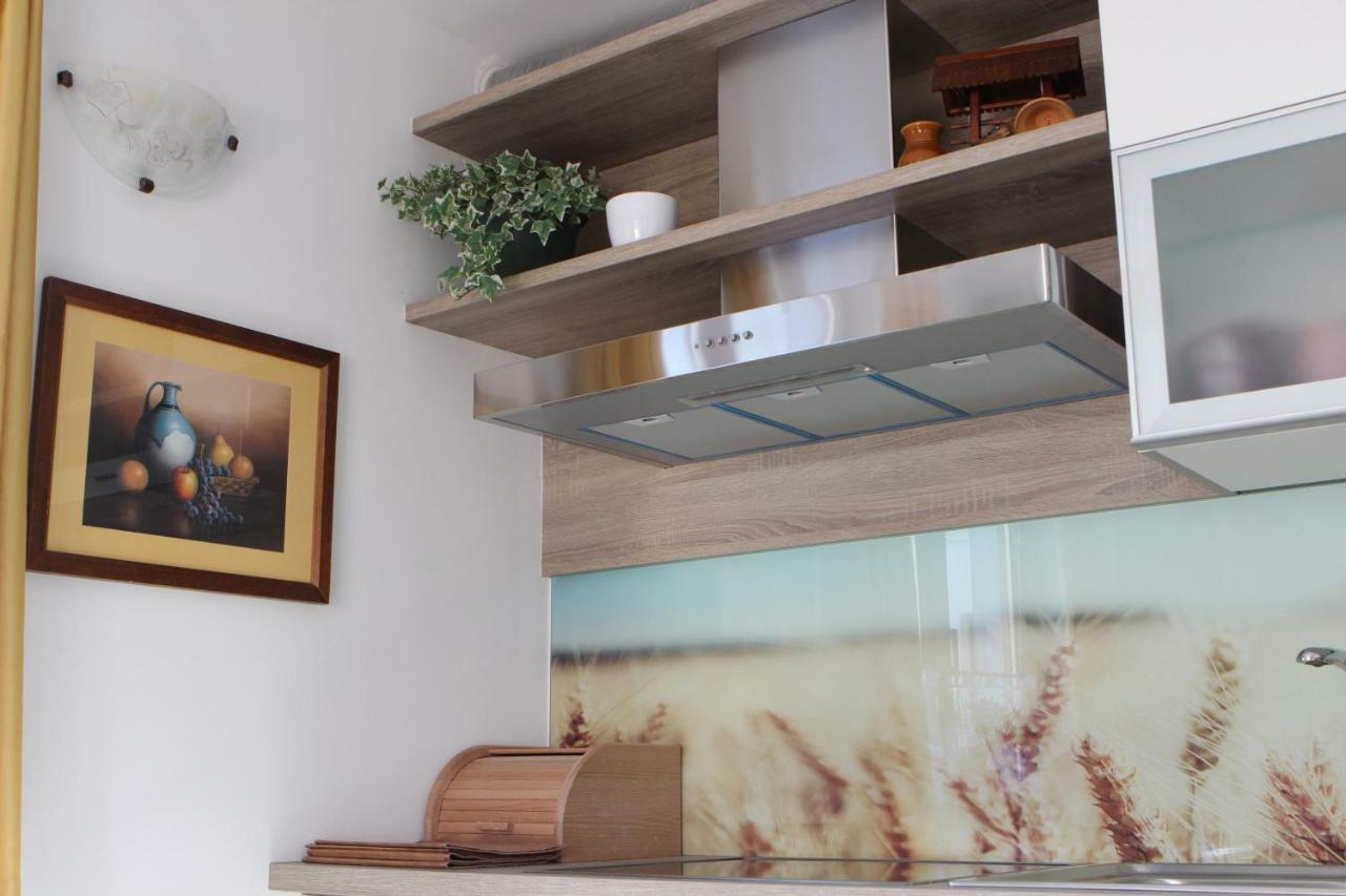 Apartma Lipa モイストラナ エクステリア 写真